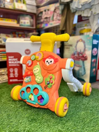 Baby Multi Use Push Walker