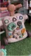 5 in 1 Baby Push Walker