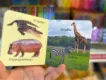 Hardcover Books Set of 10