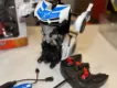 Deform transformer ROBOT vehicle 