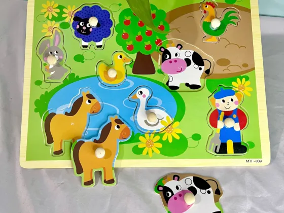 Wooden Knob Puzzles