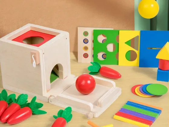 5 In 1 Object Permanence box